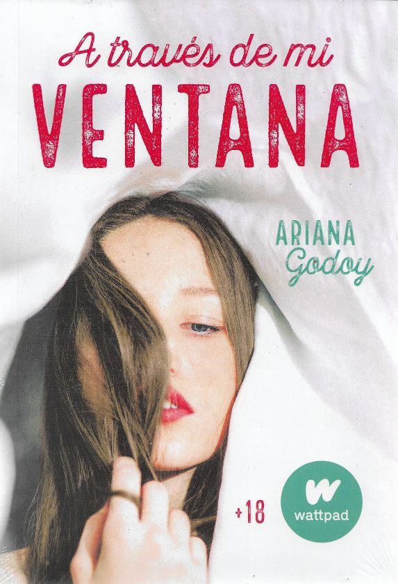 A TRAVÉS DE MI VENTANA