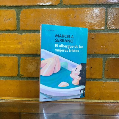 EL ALBERGUE DE LAS MUJERES TRISTES