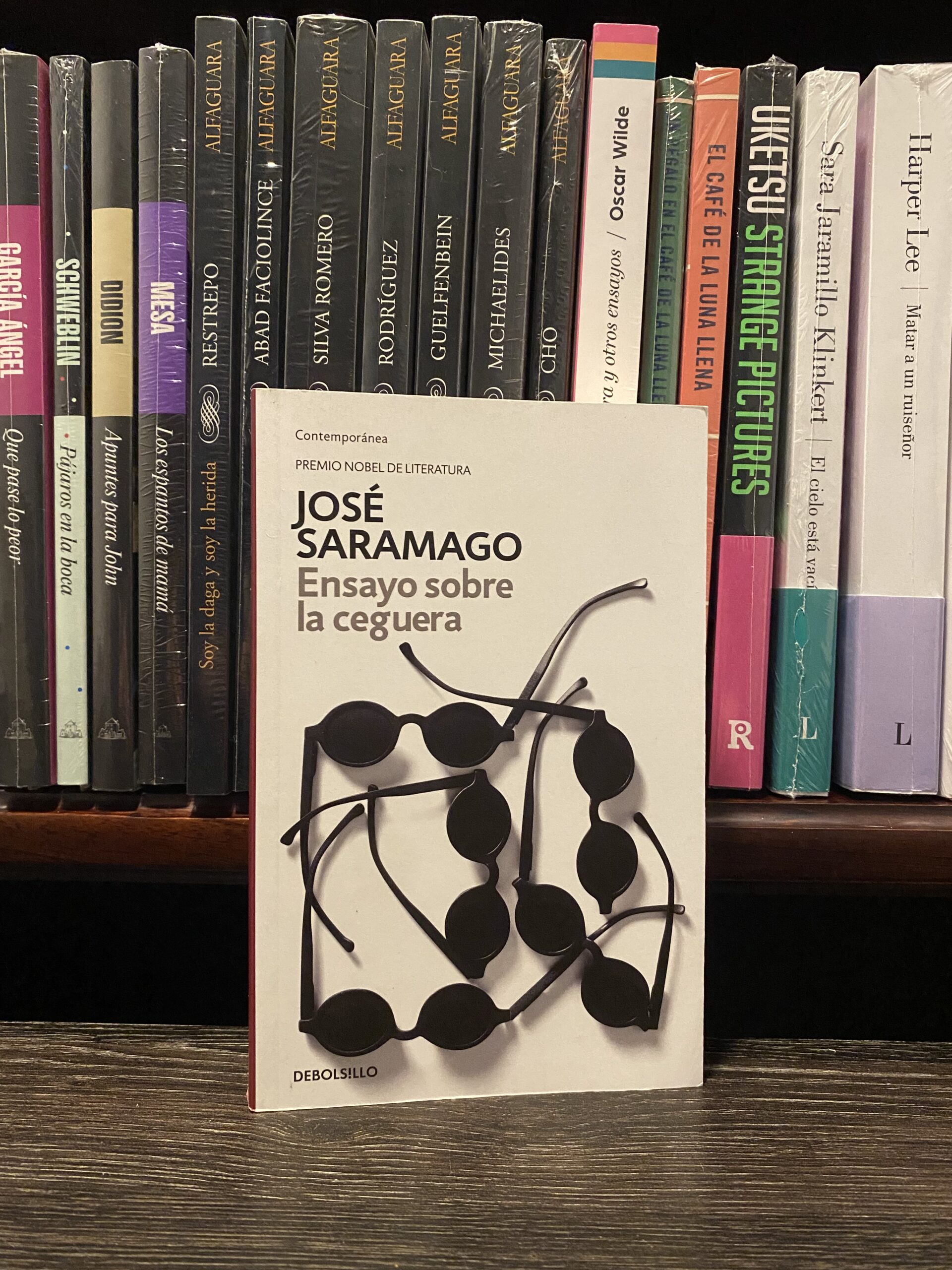 ENSAYO SOBRE LA CEGUERA