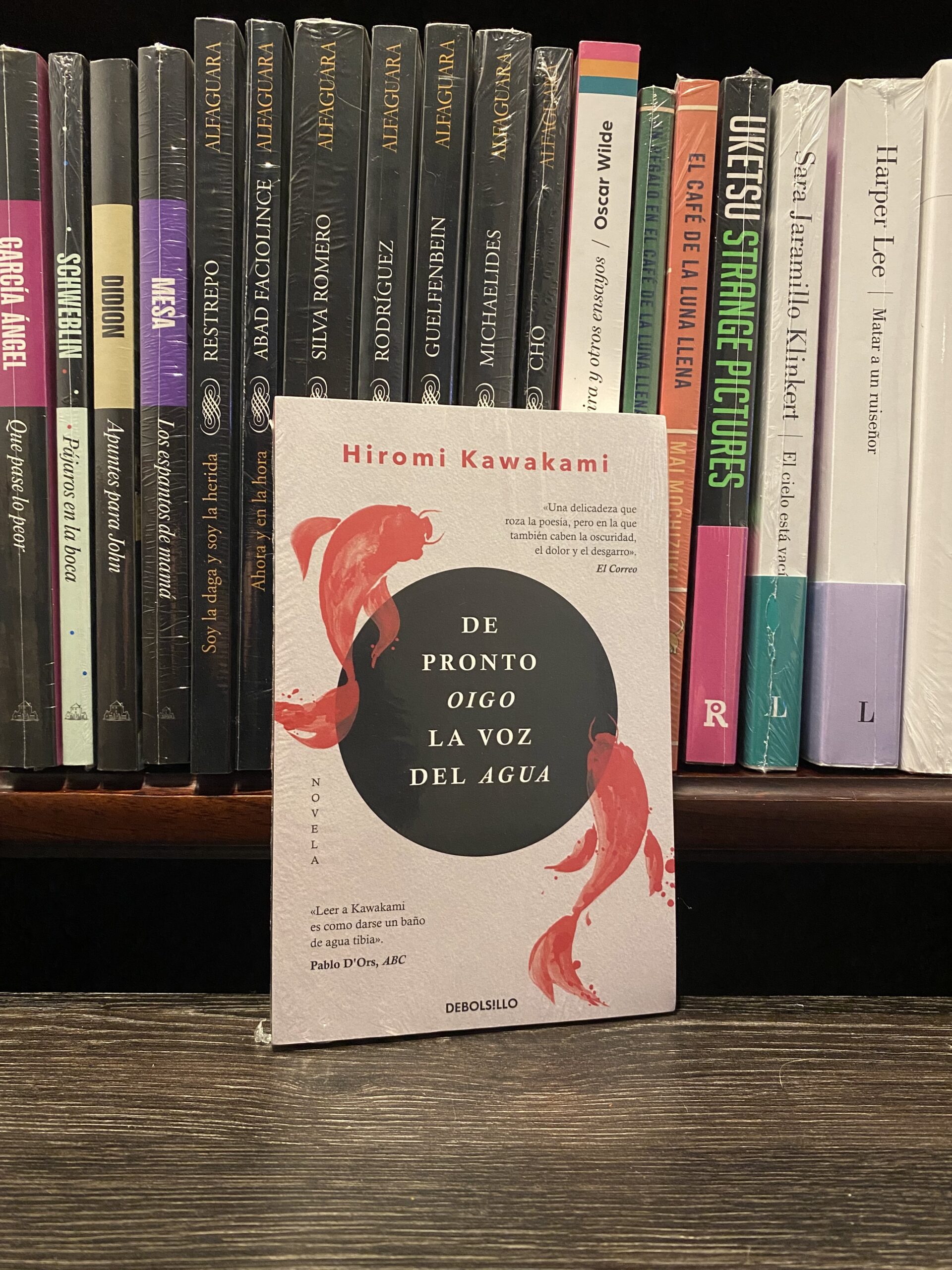 DE PRONTO OIGO LA VOZ DEL AGUA