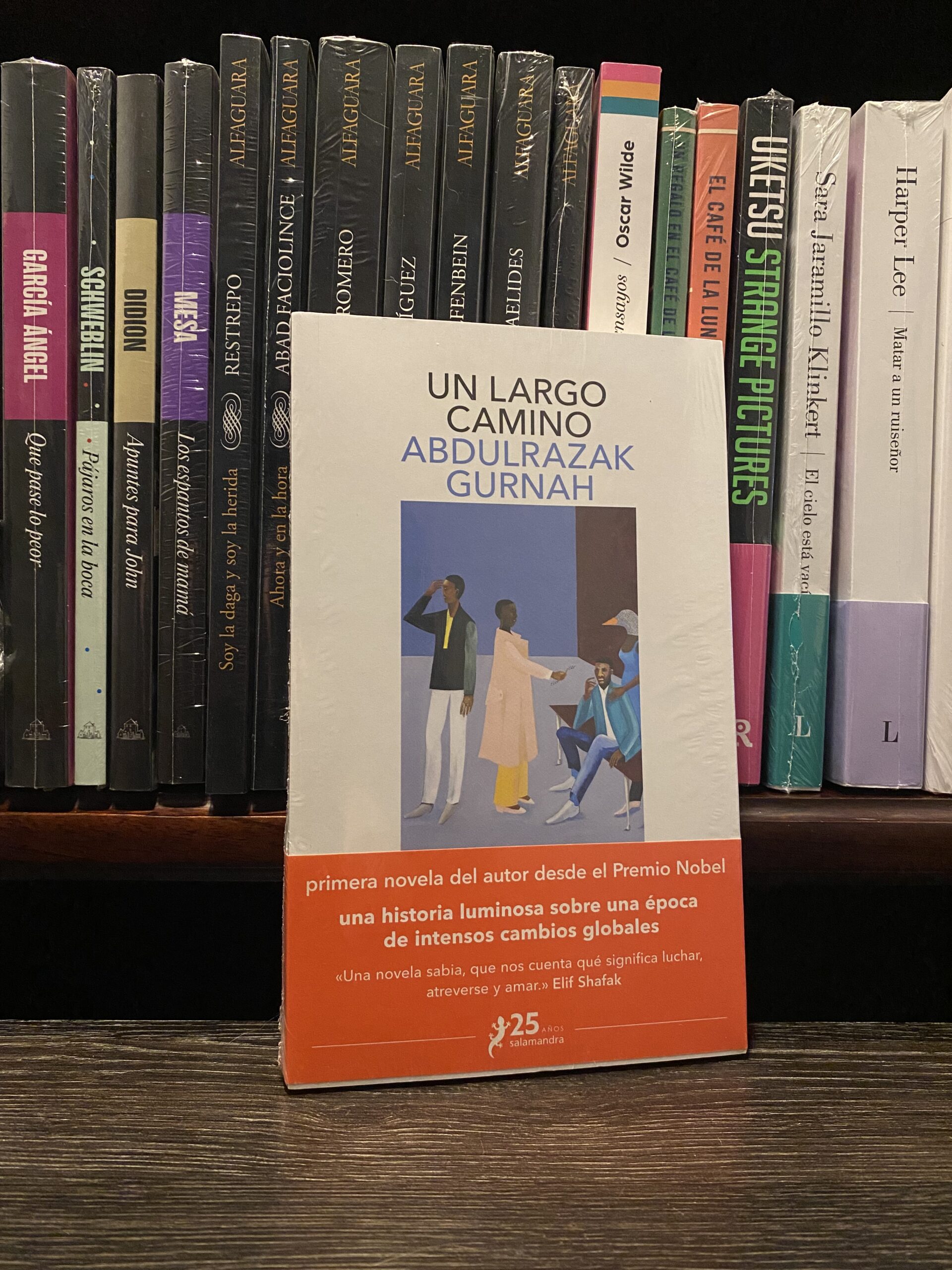 UN LARGO CAMINO