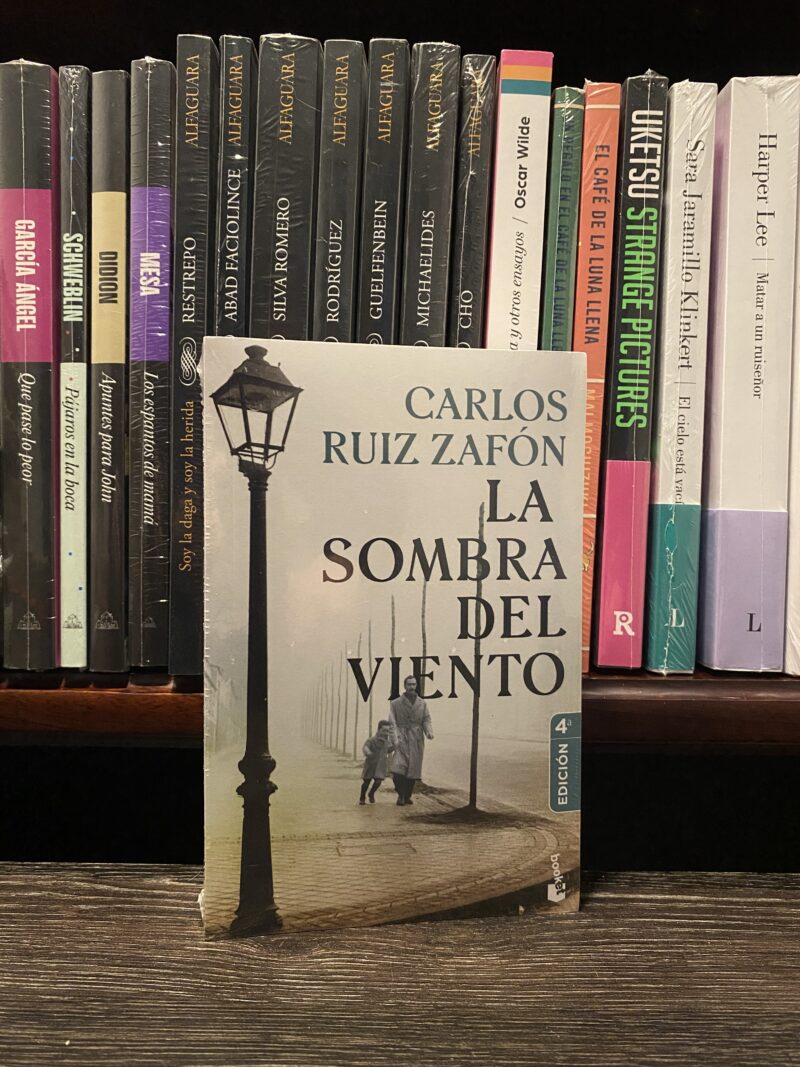 LA SOMBRA DEL VIENTO