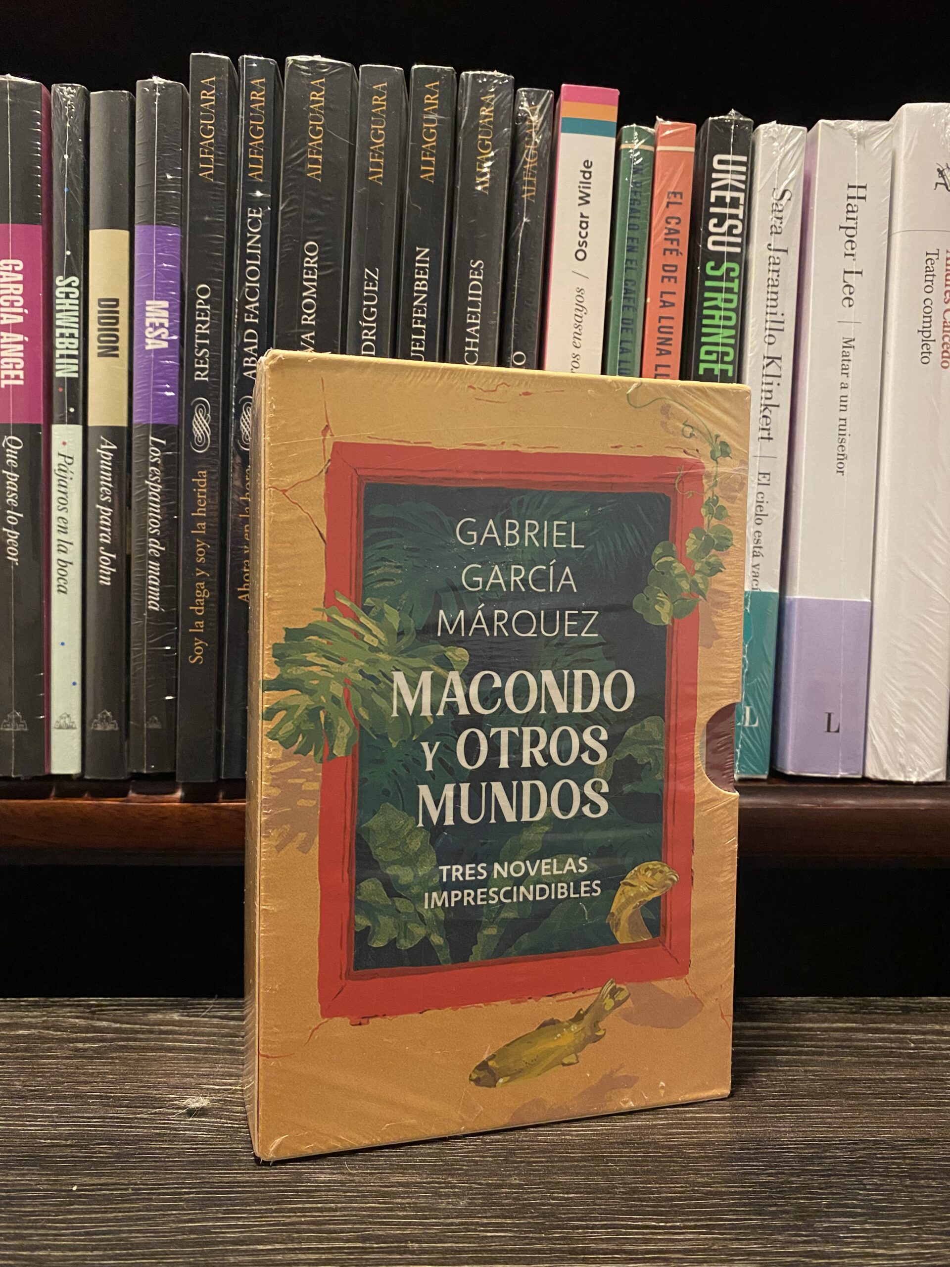 MACONDO Y OTROS MUNDOS