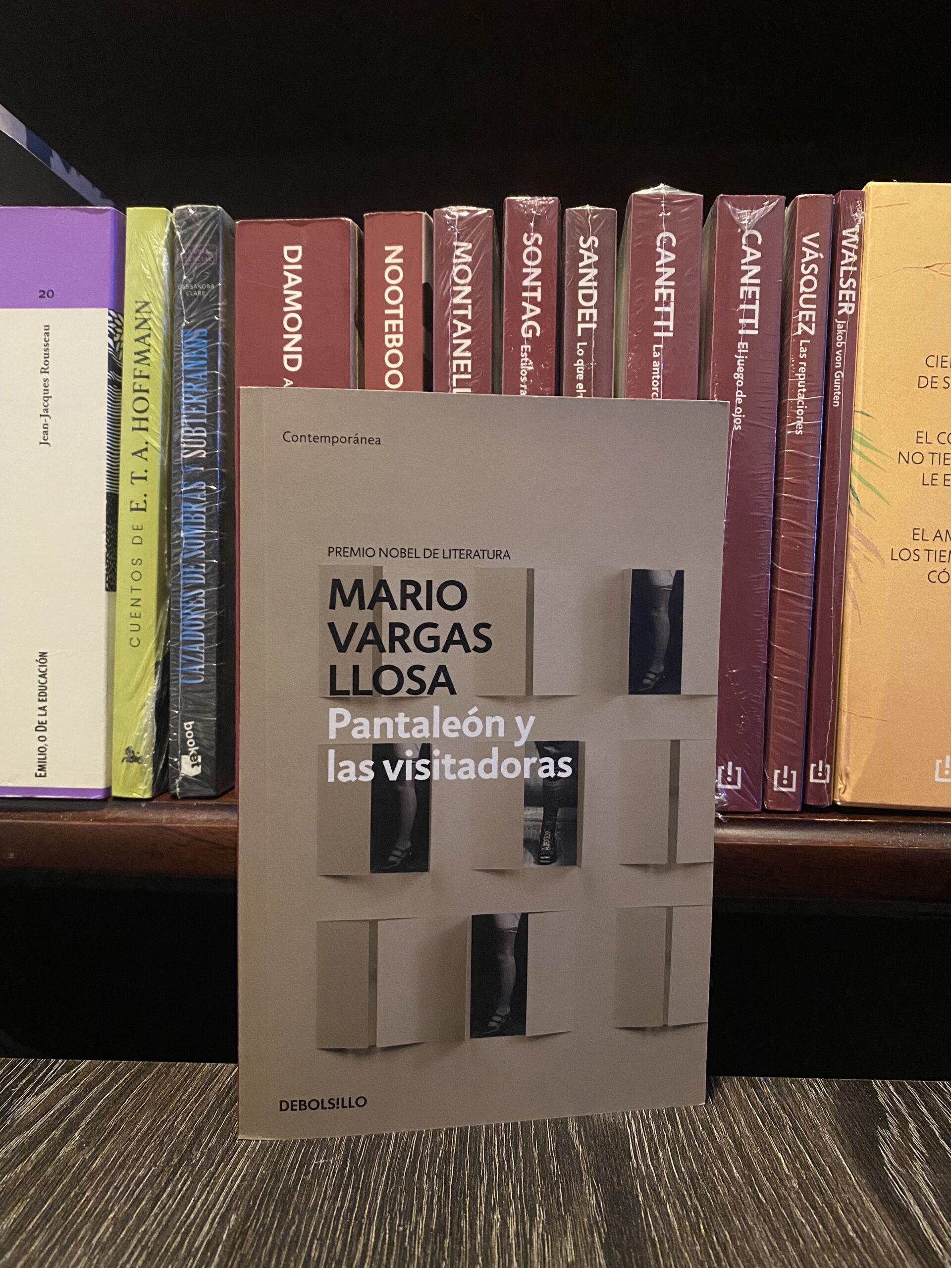 PANTALEON Y LAS VISITADORAS