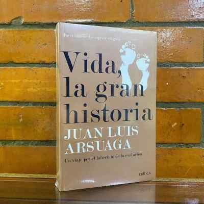 VIDA LA GRAN HISTORIA