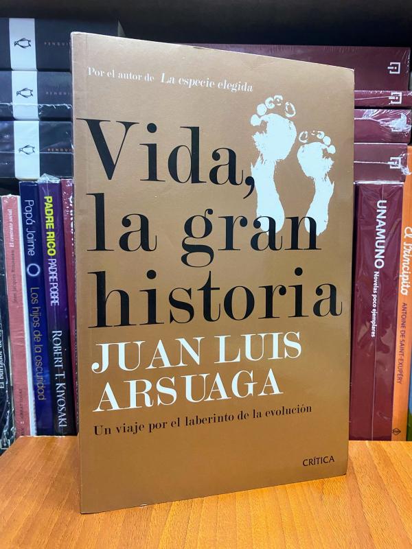 VIDA LA GRAN HISTORIA