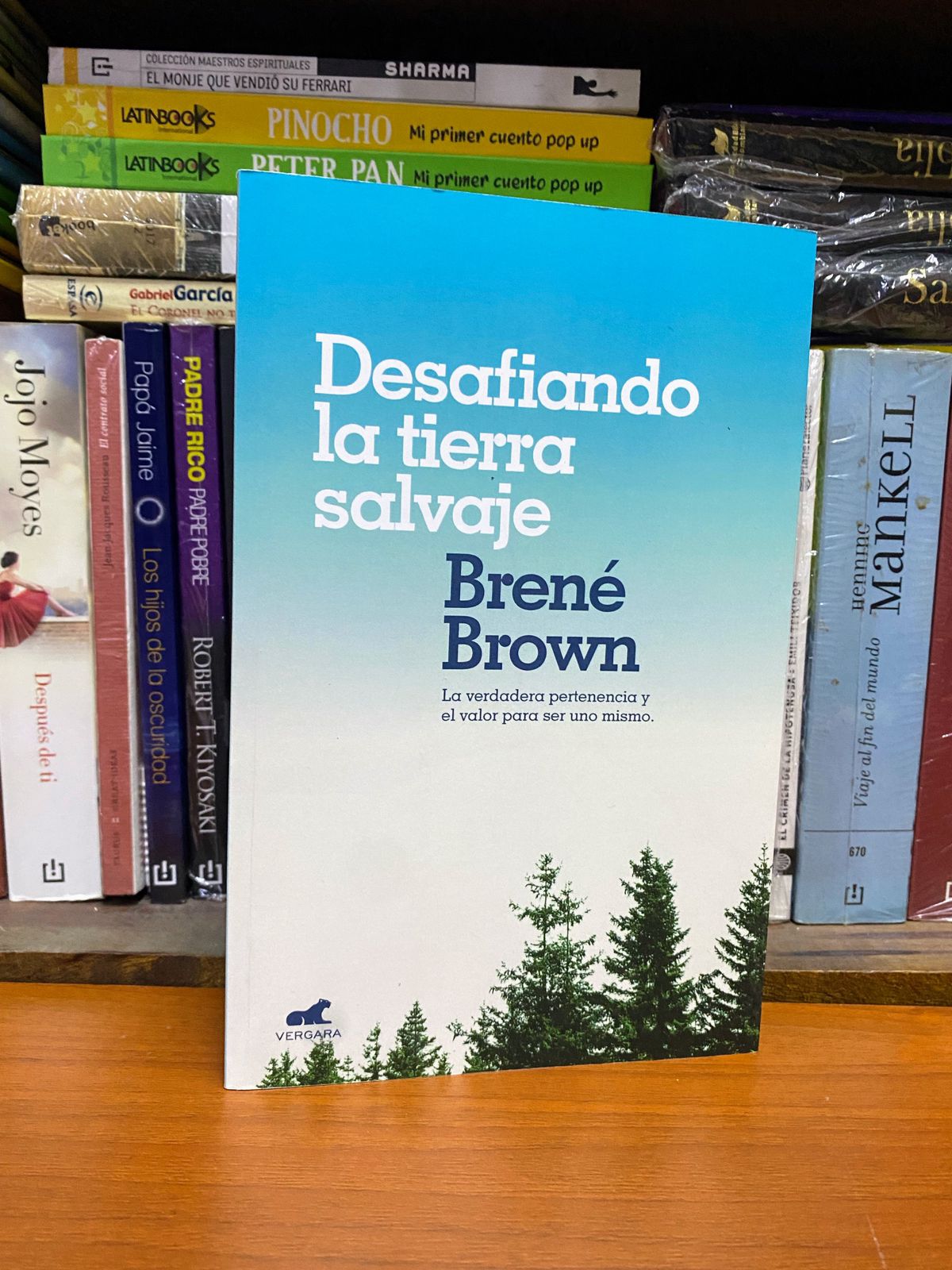 DESAFIANDO LA TIERRA SALVAJE