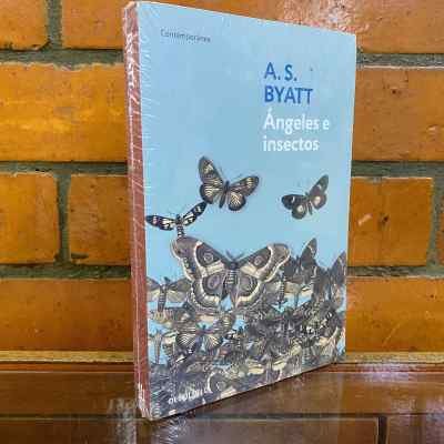 ÁNGELES E INSECTOS