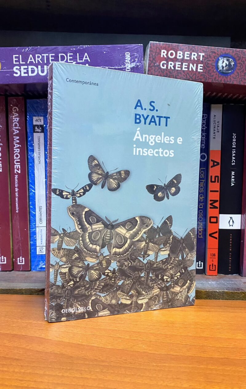 ÁNGELES E INSECTOS