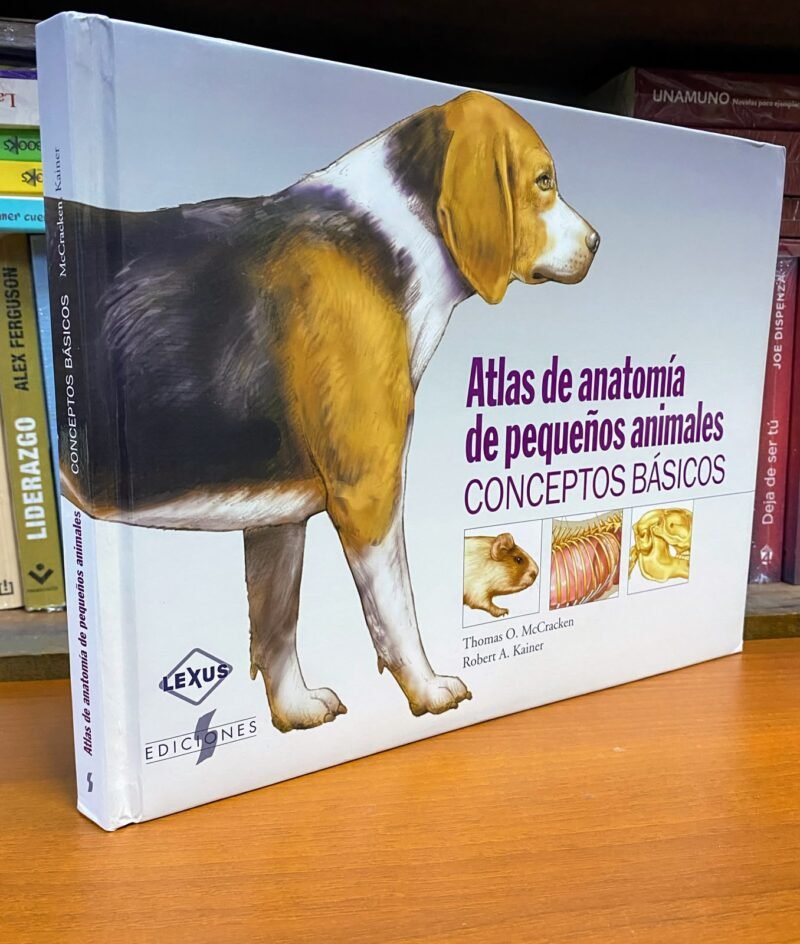 ATLAS DE ANATOMIA DE PEQUEÑOS ANIMALES: CONCEPTOS BASICOS